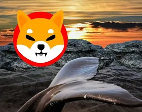 زیانی جبران ناپذیر متحمل شیبا شد؟