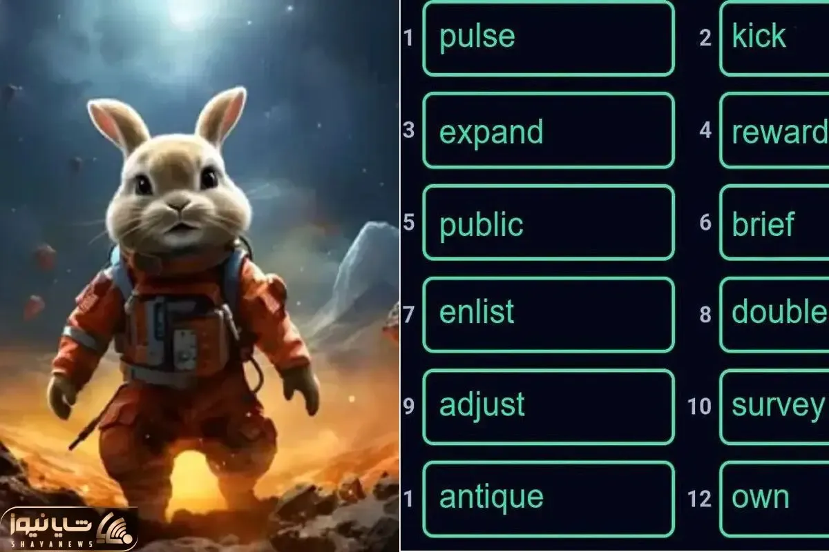 کد انیگما راکی رابیت (ROCKY RABBIT) امروز چهارشنبه 14 شهریور + آموزش وارد کردن