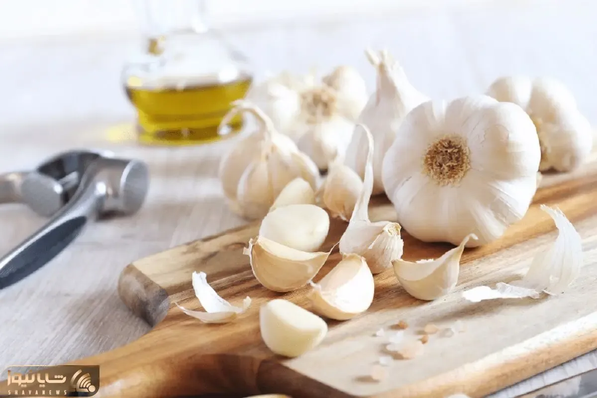 با خواص بی نظیر سیر آشنا شو تا هر روز سر سفرت حاضری بزنه؛ آقا عجیییب خوشطعمِ و مقوی!
