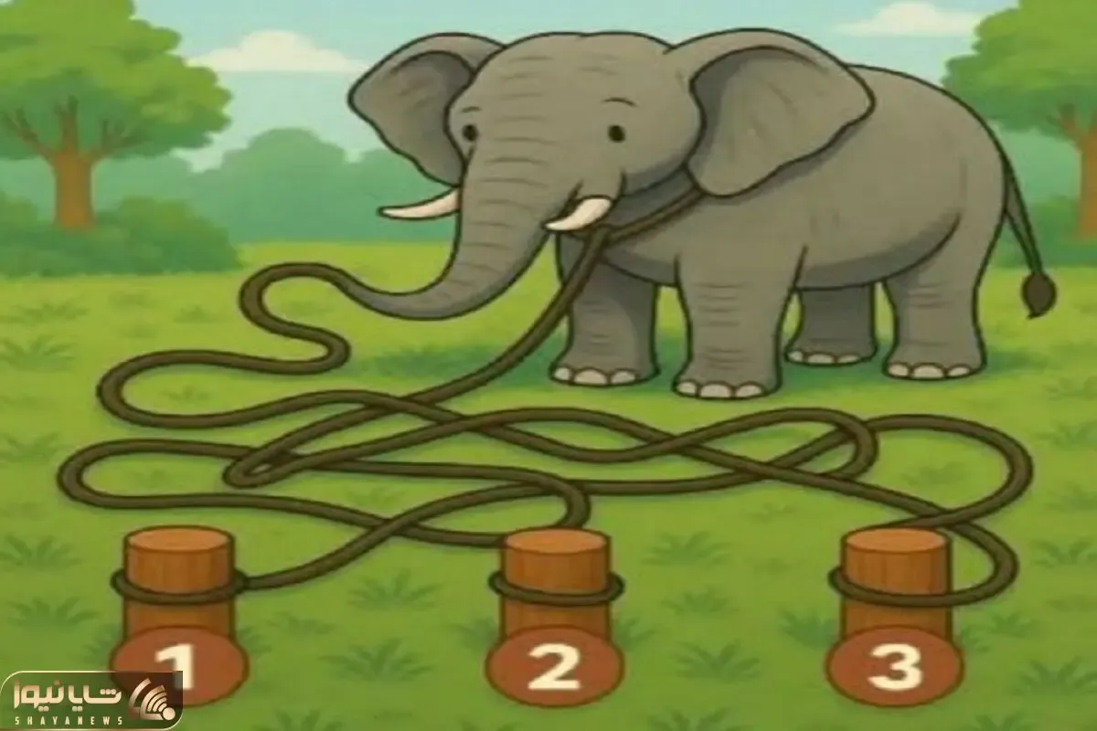 بازی فکری؛ اون که نقشه خوانیش خوبه و نیاز نداره آدرس بپرسه میدونه فیل به کدوم چوب وصل