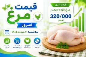 قیمت مرغ امروز سه شنبه 6 مرداد 1405 / فیله مرغ را با چه قیمتی بخریم؟