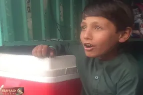 آواز شاد؛ ورژن افغانی کفتر کاکل به سر پسر بانزاکت چه سرخوش خوند فقط تللللی للی گفتنش