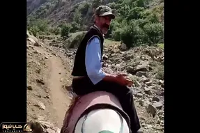 آواز سوزناک؛ آقاهه تو کوه و دشت رو خر نشسته و آهنگ لیلا باریکلا رو میخونه!