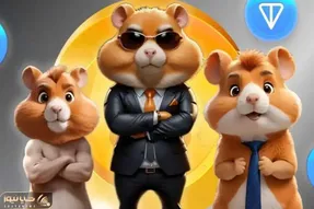 کارت‌های همستر کامبت یکشنبه 20 خرداد با این ها بیشترین سود را به جیب بزنید!