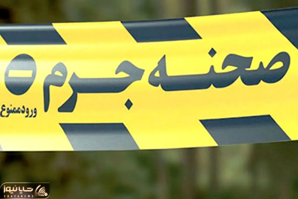 ماجرای قتل علیرضا محمدی؛ چه کسی وکیل تهرانی را به قتل رساند؟