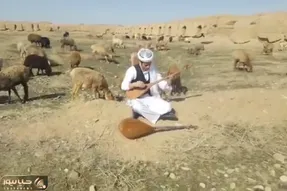 آواز محلی؛ آقاهه با لباس مخصوص پیش گله گوسفند آهنگ دردناکی میزنه و زخمت رو تازه میکنه