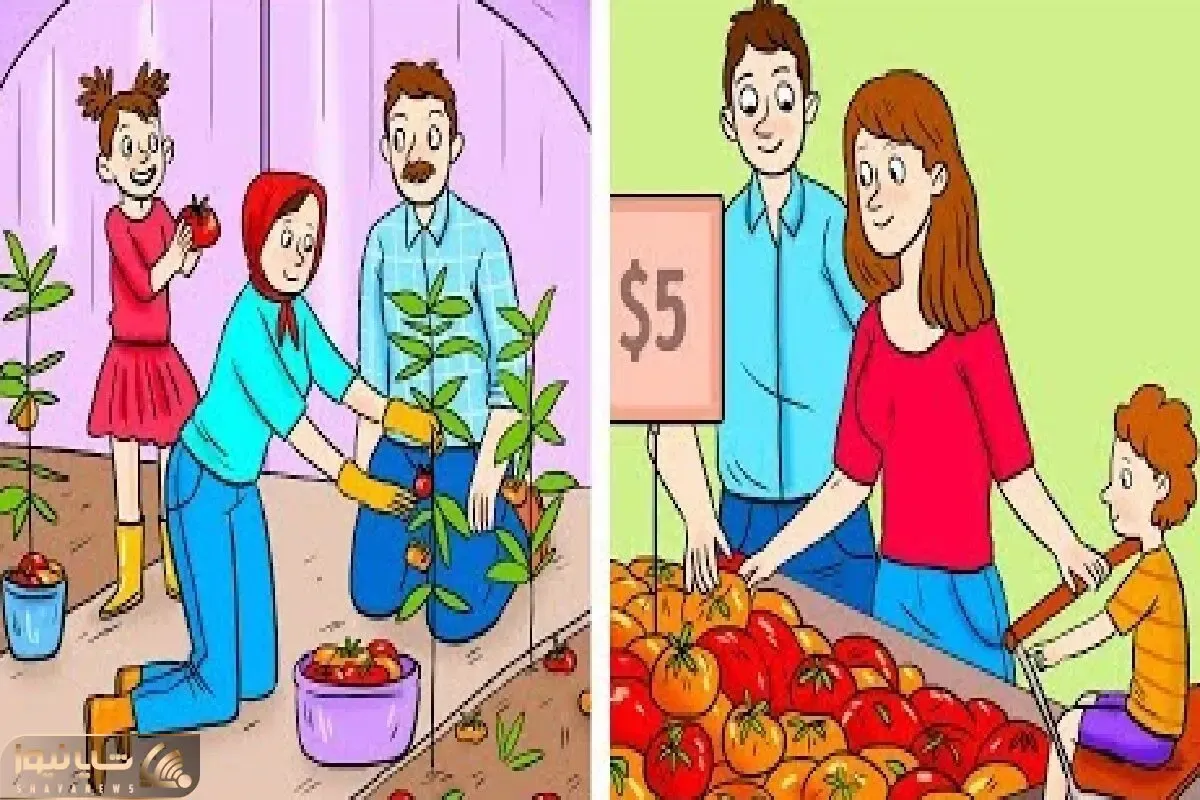 بازی فکری؛ اگه شوماخر باهوشایی بگو کدوم از این خانواده ها فقیرن؟