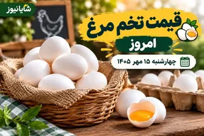 قیمت تخم مرغ امروز چهارشنبه 15 مهر 1405 / یک شانه تخم مرغ را چند بخریم؟
