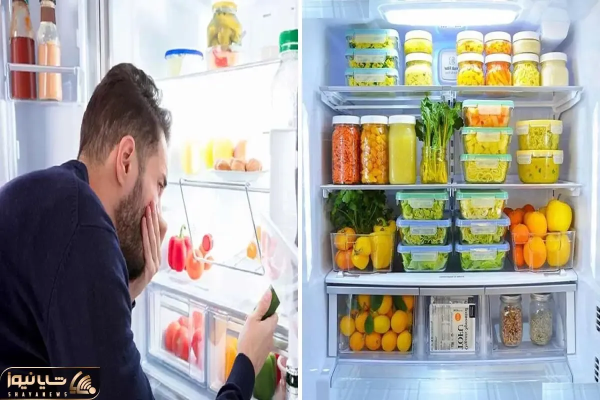 از بین بردن بوی بد داخل یخچال / نمیرسی هی چک کنی چیا توش خراب شده اینجوری بو نمیگیره