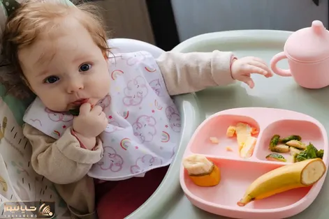 غذای کودک؛ دو تا غذا برای کودک بالای 8 ماه + ویدئوی آموزشی