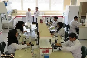 دانشجویان دکتری در دو طرح حمایتی چگونه ثبت نام کنند؟