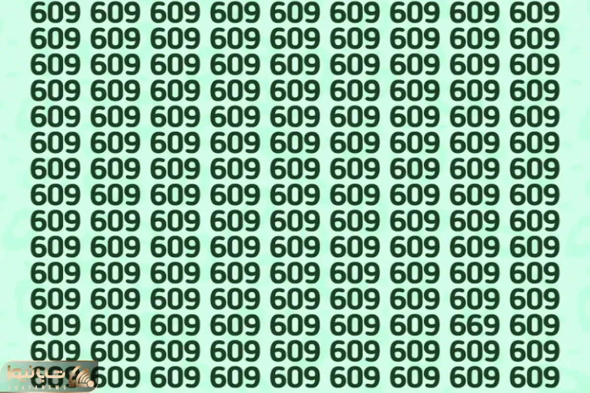 تست هوش تصویری با جواب؛ اگه رَنک اول باهوشای جهان خودتی عدد 669 رو تو عکس پیدا کن!
