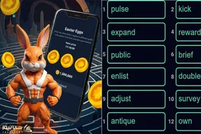 کد انیگما راکی رابیت (rocky rabbit) امروز پنج شنبه 15 شهریور + آموزش وارد کردن
