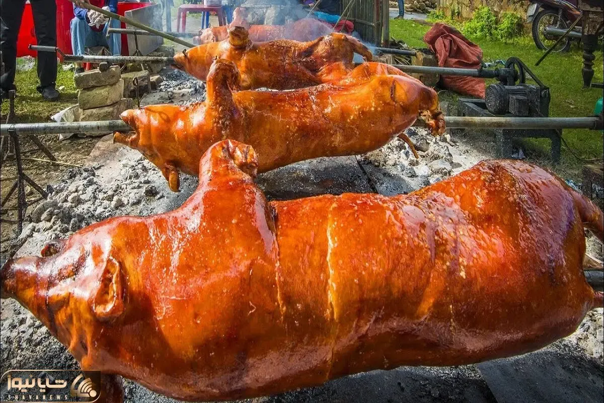 کباب خوک؛ خوک حرومی صورتی و دست و پا بسته به صلیب کشیدن بریونی شه