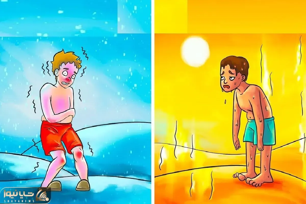بازی فکری؛ فقط با دقت بگویید کدام یک نجات پیدا می کند
