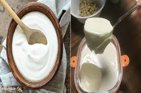 راز ماست سفت و خوشمزه خونگی رو میخوای بدونی؟/ دیگه نگران آب افتادن ماستت نباش