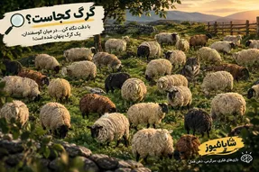 بازی فکری؛ بین گله گوسفندها گرگ را پیدا کن!