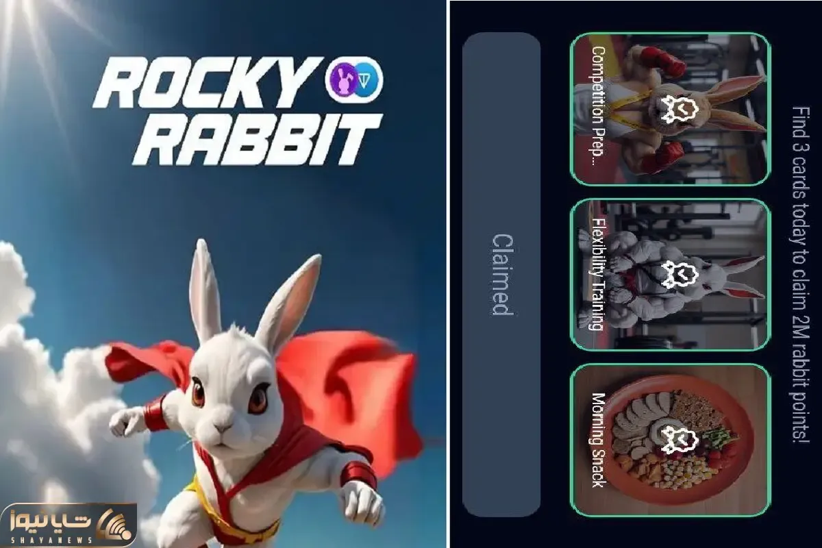 کارت های راکی رابیت (rocky rabbit) امروز چهارشنبه 28 شهریور + آموزش وارد کردن