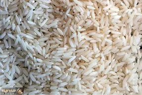 ترفندهای خانه داری؛ چطور شپشک برنج رو از بین ببریم؟