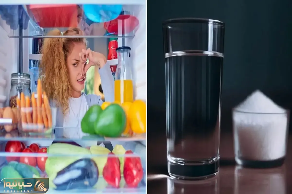 چند روش طبیعی برای خوشبو کردن یخچال/ با این مواد یخچالو باز کنی بوی بهشت میزنه تو صورت