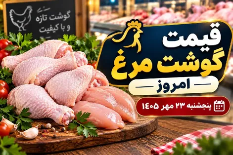 قیمت مرغ امروز پنجشنبه 23 مهر 1405 / فیله مرغ به چقدر رسید؟