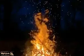 آواز اصیل؛ این آهنگ شهرام ناظری همه خاطرات زیبای دهه شصتی هارو زنده میکنه