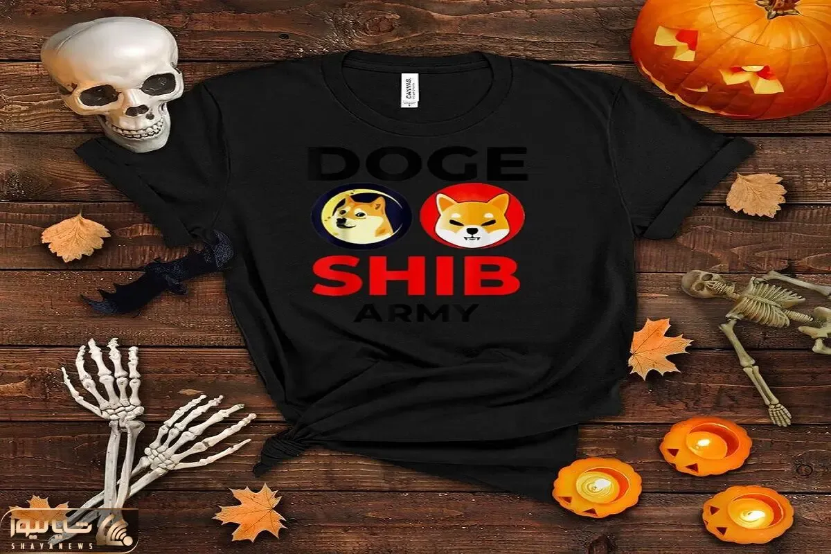 پیش‌بینی قیمت صعود SHIB به 1 دلار بستگی به…؟؟