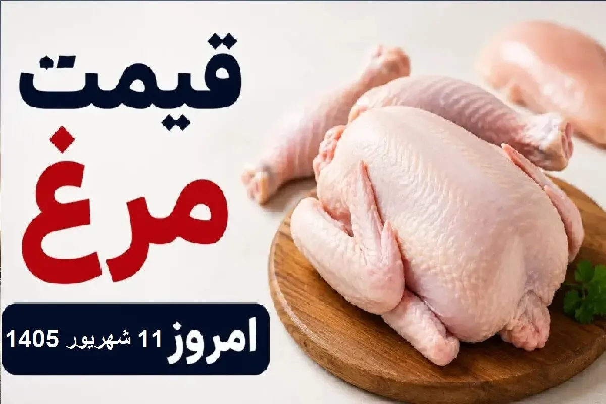 قیمت مرغ امروز چهارشنبه 11 شهریور 1405 | مرغ منجمد چند؟