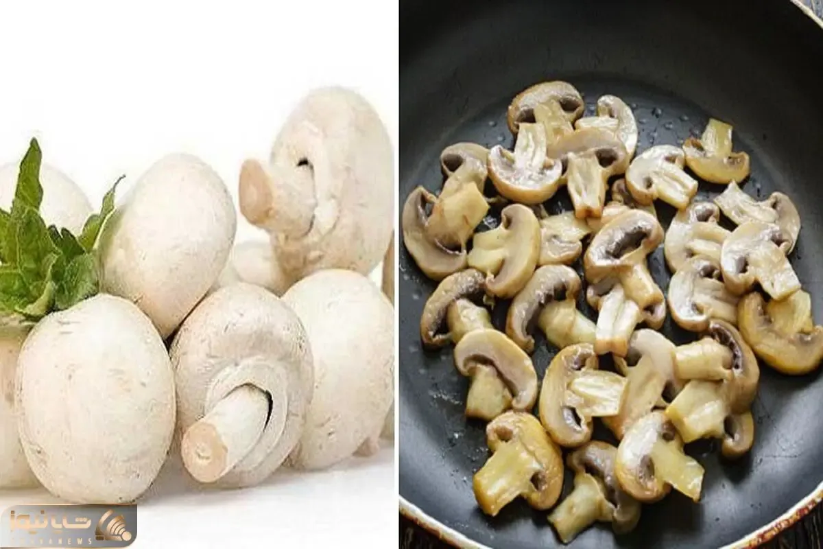 روش های نگهداری از قارچ در یخچال و فریزر / ماندگاری بالا با حفظ رنگ و طعم
