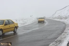 بارش برف در جاده چالوس