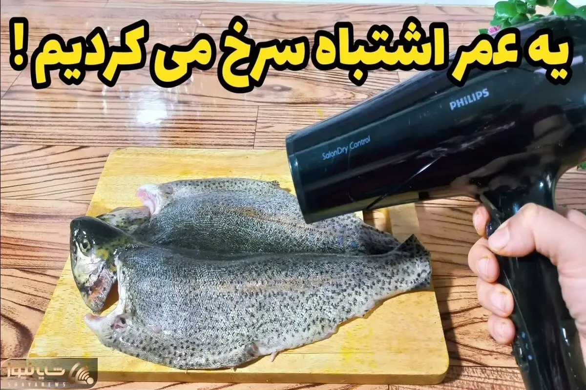 ترفندهای طلایی؛ سرخ کردن ماهی با روشی تازه که همه را شوکه میکنه