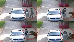 لحظه وحشتناک و مرگبار حمله ببر وحشی به زن جوان!