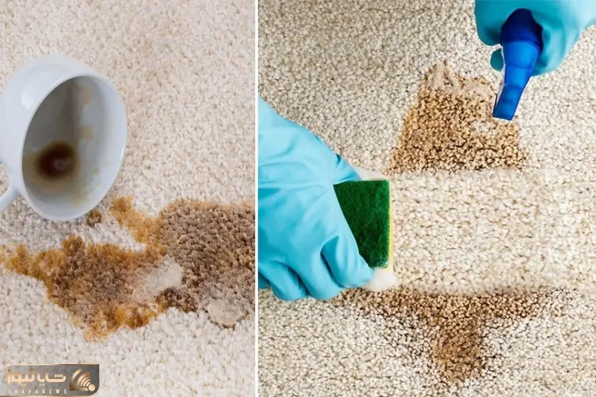 راهنمای تمیز کردن انواع لکه ها از روی فرش و موکت / ترفندهای سریع و موثر خونگی