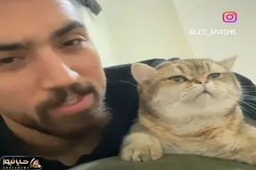 آواز شاد؛ پسر برا گربه مغرورش آهنگ خوند لعنتی تو نگاهش خب که چی موج میزنه طرف معذب شد