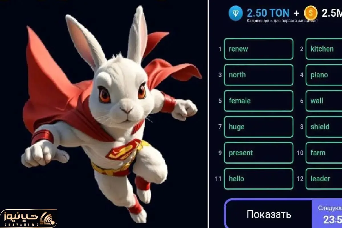 کد انیگما راکی رابیت (rocky rabbit) امروز جمعه ۲ شهریور به همراه پاسخ تصویری و آموزش