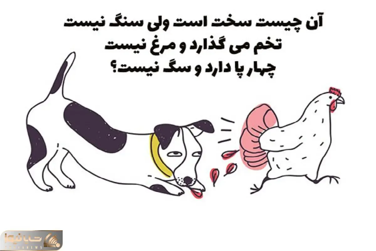 چیستان فکری؛ سفته؛ اما سنگ نیست؛ تخم می‌گذاره اما مرغ نیست و 4 پا دارد اما سگ نیست؟