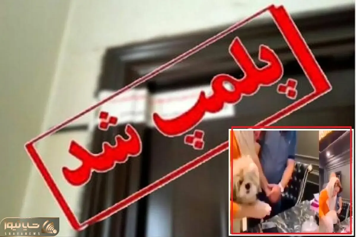 مشاور املاک انتقال خانه به یک سگ در تهران بازداشت شد؛ نمایش و تبلیغات بی اساس دردسر دارد!