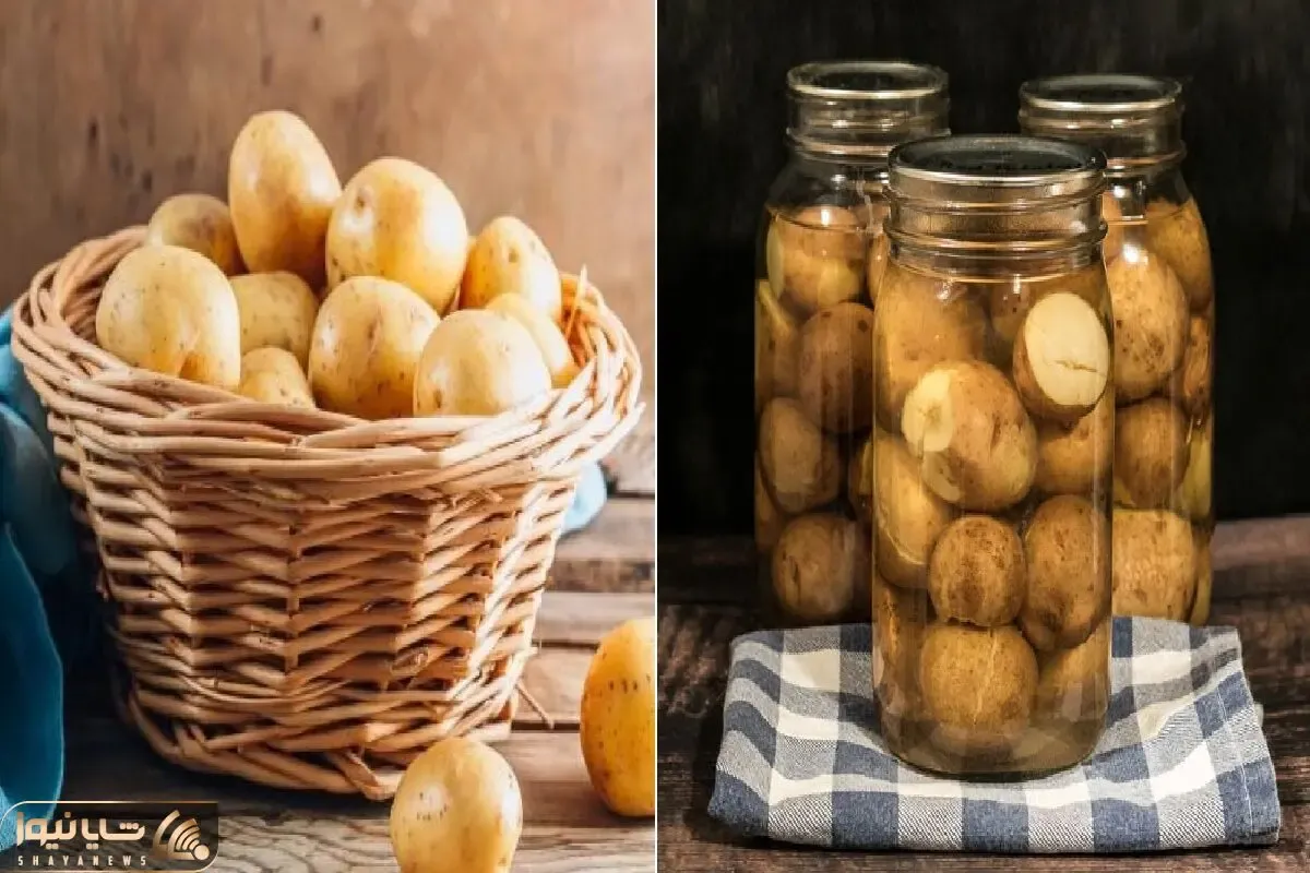 ترفند قدیمی ها جهت نگهداری از سیب زمینی به مدت طولانی در داخل خانه / بدون جوونه زدن