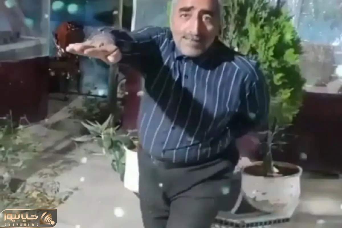 آواز شاد؛ حرکات موزون ترکیبی این مرد با سلام نظامی آلمانیا ته خندس خودشم میزنه وسطا