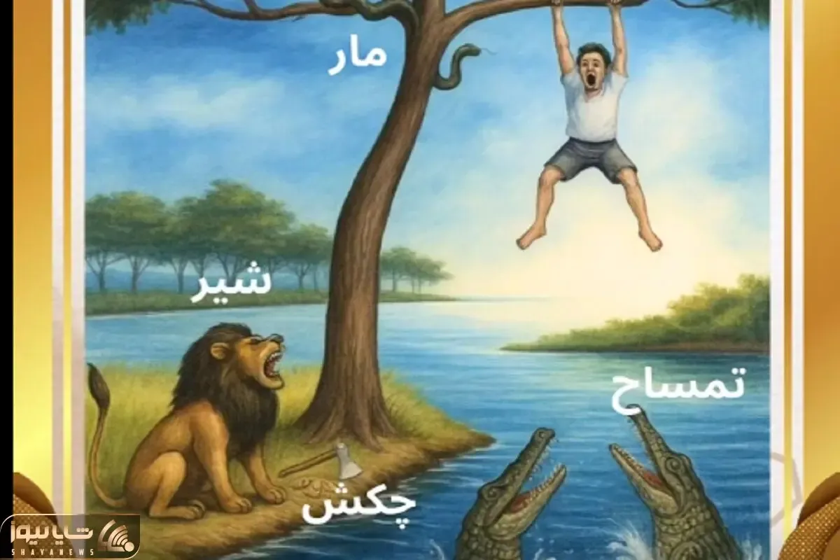 بازی فکری؛ ویدئو رو ببینید و بگویید که کدام یک راه نجات داره