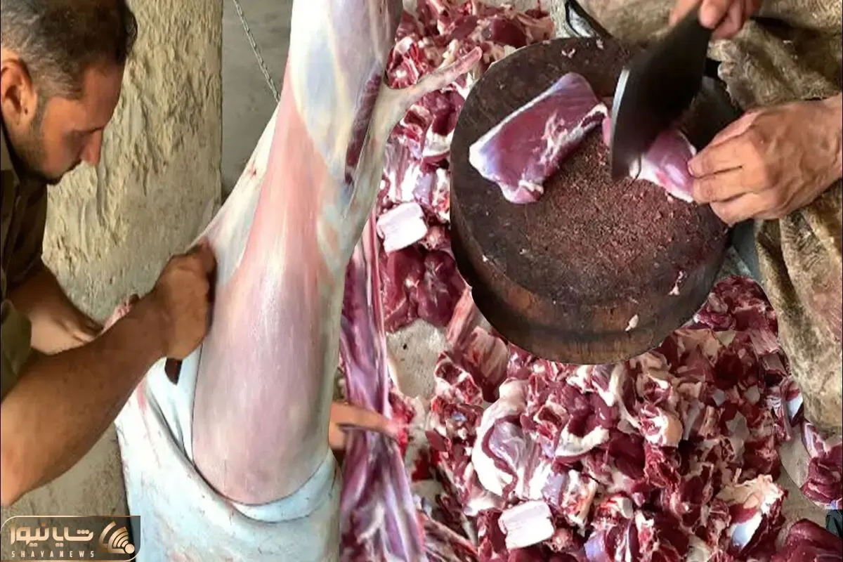 فرآوری گوشت بز؛ مهارت شپفت انگیز آقای قصاب تو برش و آماده سازی و خورشتی کردن گوشت