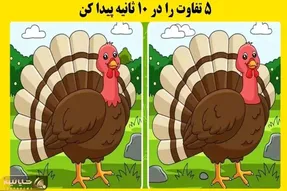 بازی فکری؛ شما فقط 10 ثانیه فرصت دارید تا 5 تفاوت میان دو تصویر را پیدا کنید؟