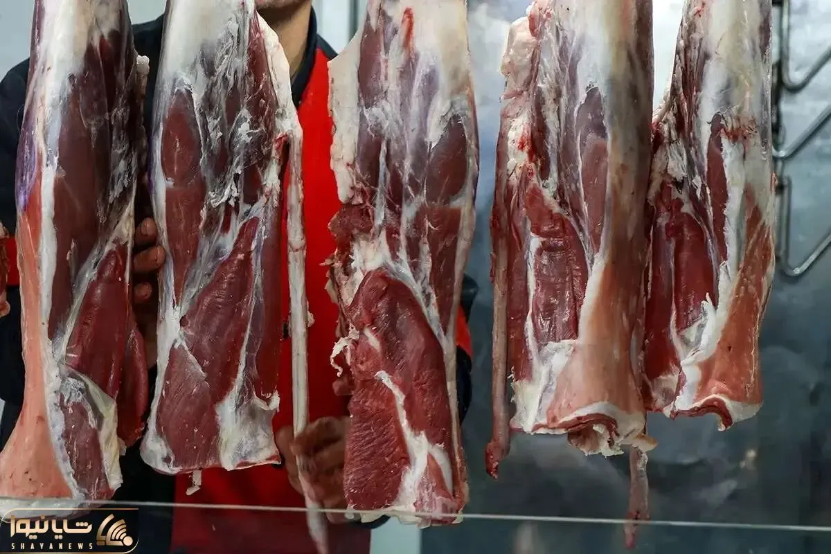 قیمت گوشت قرمز امروز دوشنبه ۲۱ اردیبهشت ۱۴۰۵ + جدول