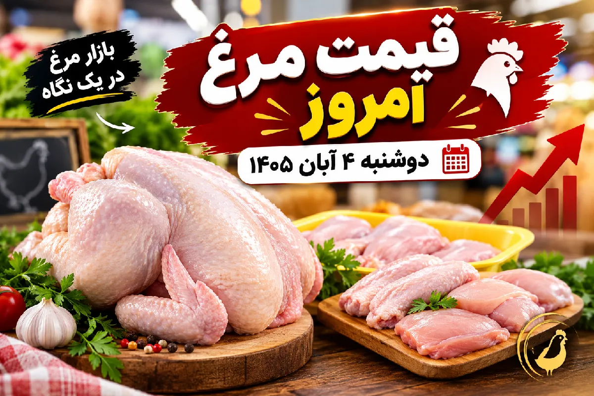 مرغ