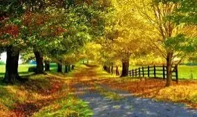 5 تا از عاشقانه‌ترین مقاصد برای سفر پاییزی