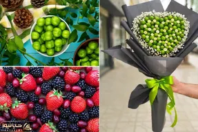 گوجه سبز به این خوشمزگی ببین ترشیش دیگه چیه؟ با این طرز تهیه حسابی مَلچو ملوچ کن