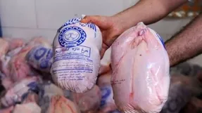پرداخت یارانه به مرغ هم رسید؛ جزئیات و مبلغ یارانه جدید