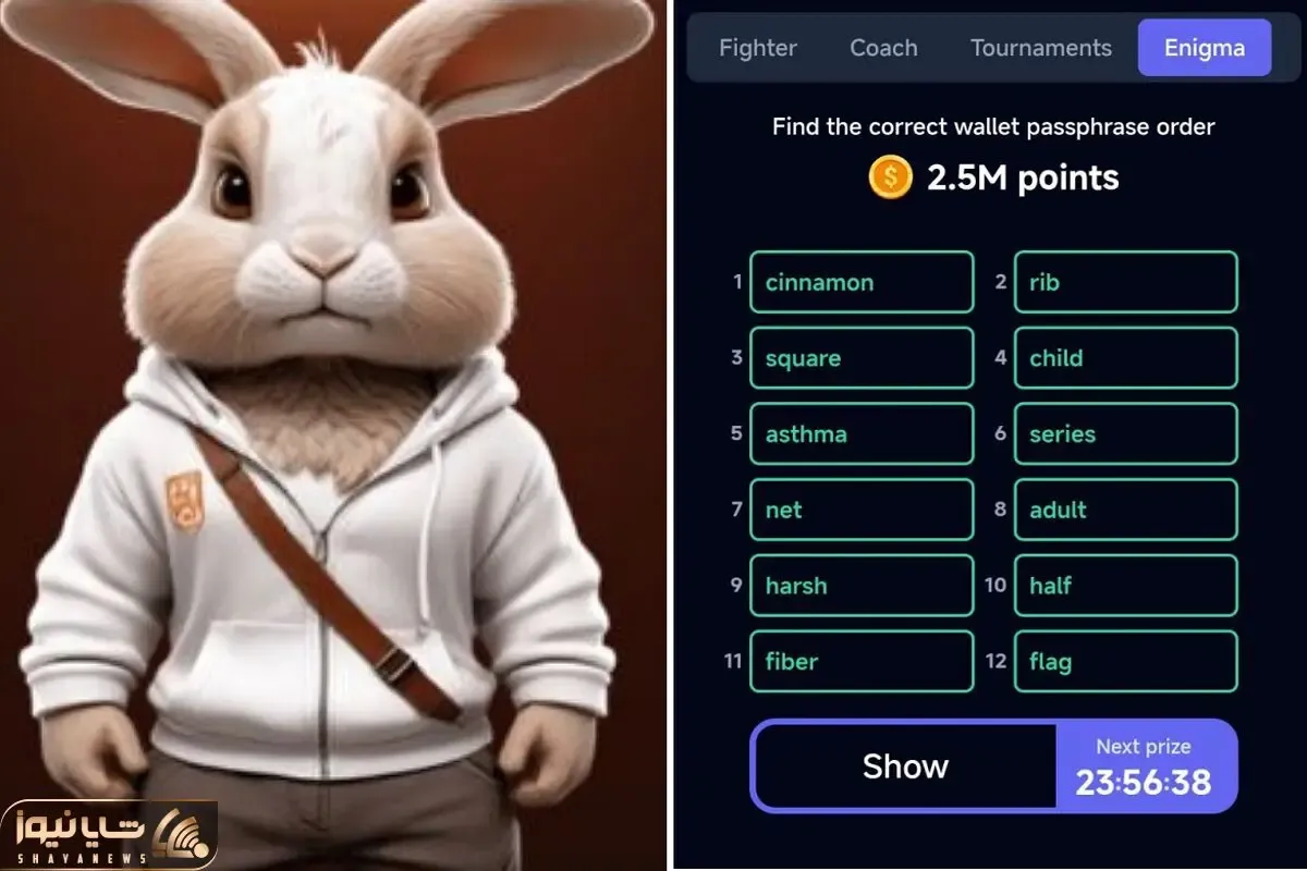 کد انیگما راکی رابیت (rocky rabbit) یک شنبه 4 شهریور + آموزش