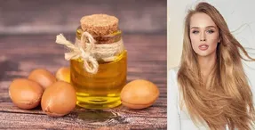 خواص بی نظیر روغن آرگان برای زیبایی و سلامت مو؛ رشد بهتر، سلامت بیشتر و ریزش مو کمتر