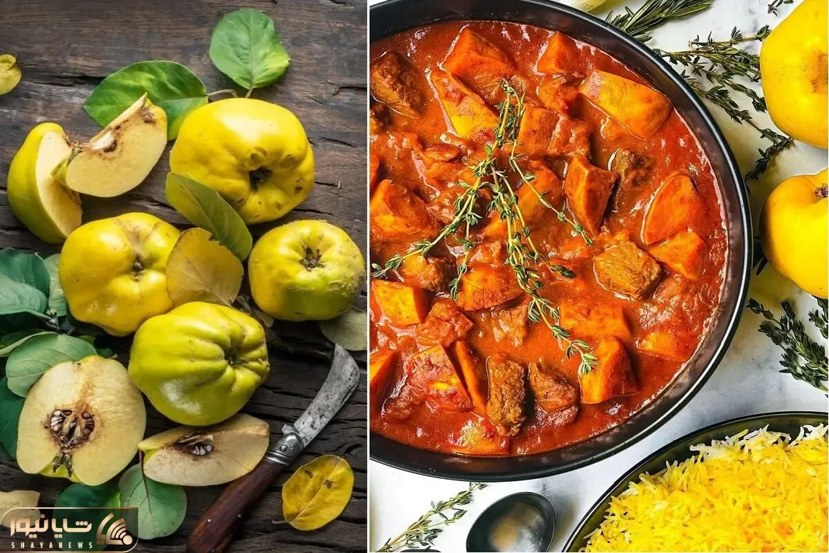 دستور پخت عالی برای خورشت به آلو/ آلو توی غذا دوست نداری؟ اینو درست کن مشتری میشی